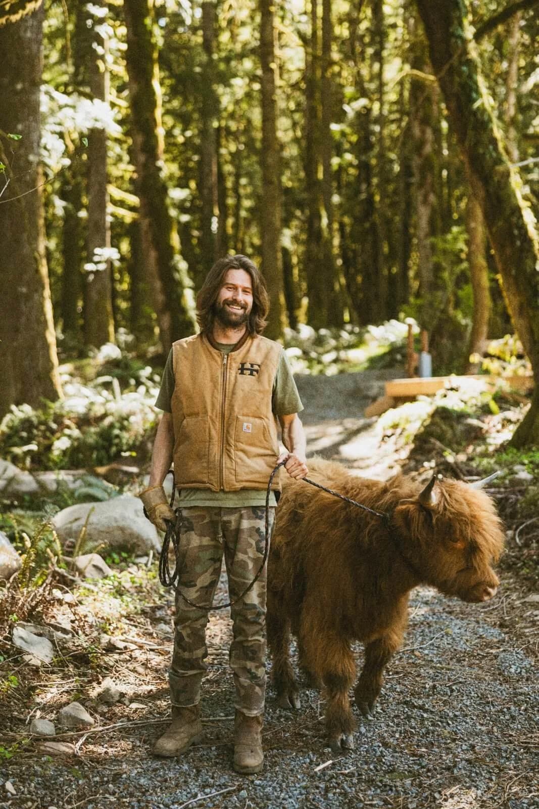 Farm guide walking with a Highland Cow calf in the forest