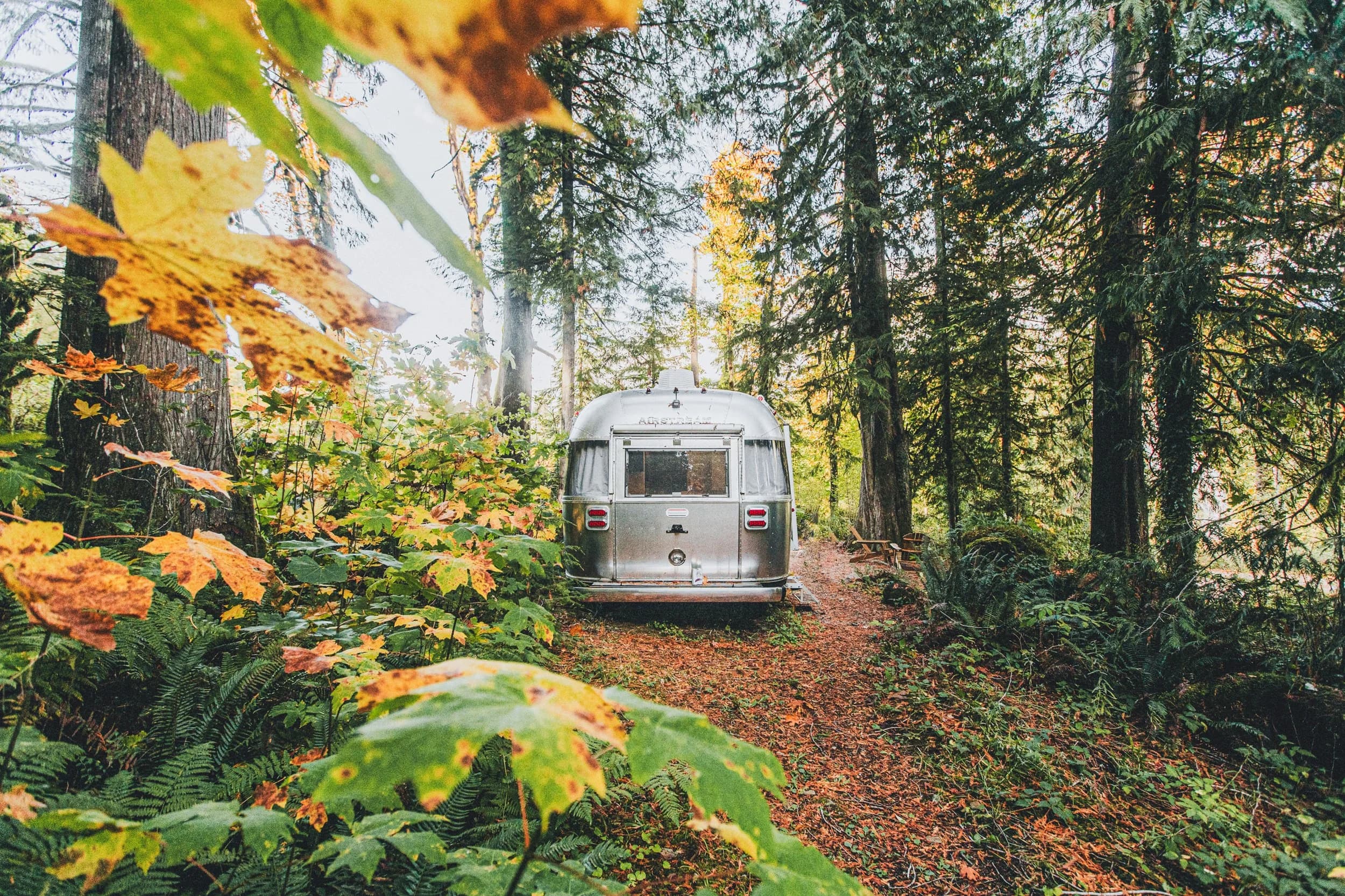 Airstream nestled in fall foliage