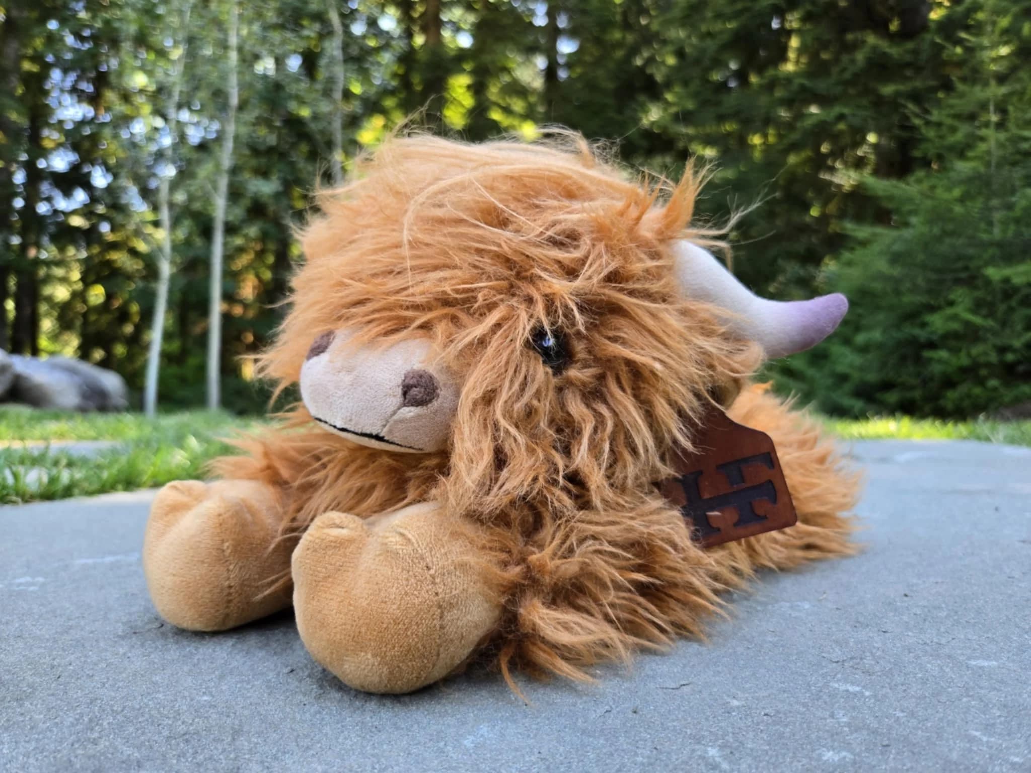 Mr. Finley — Red Highland Cow Plush