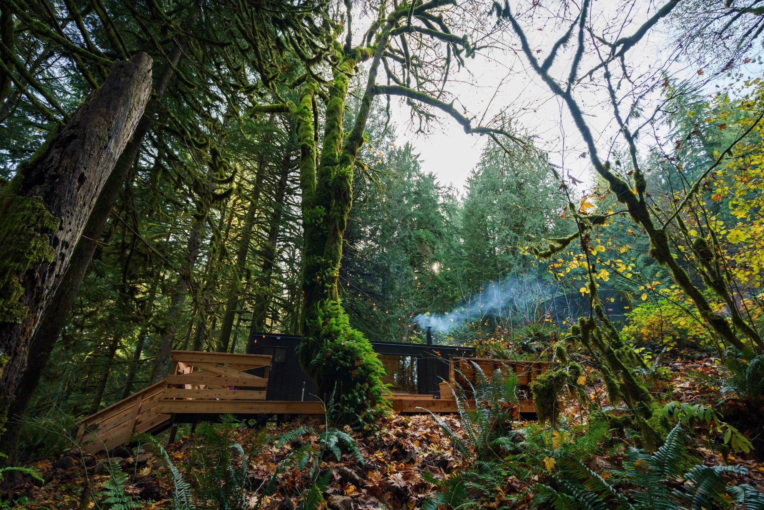 Cedar spa deck nestled among old-growth forest