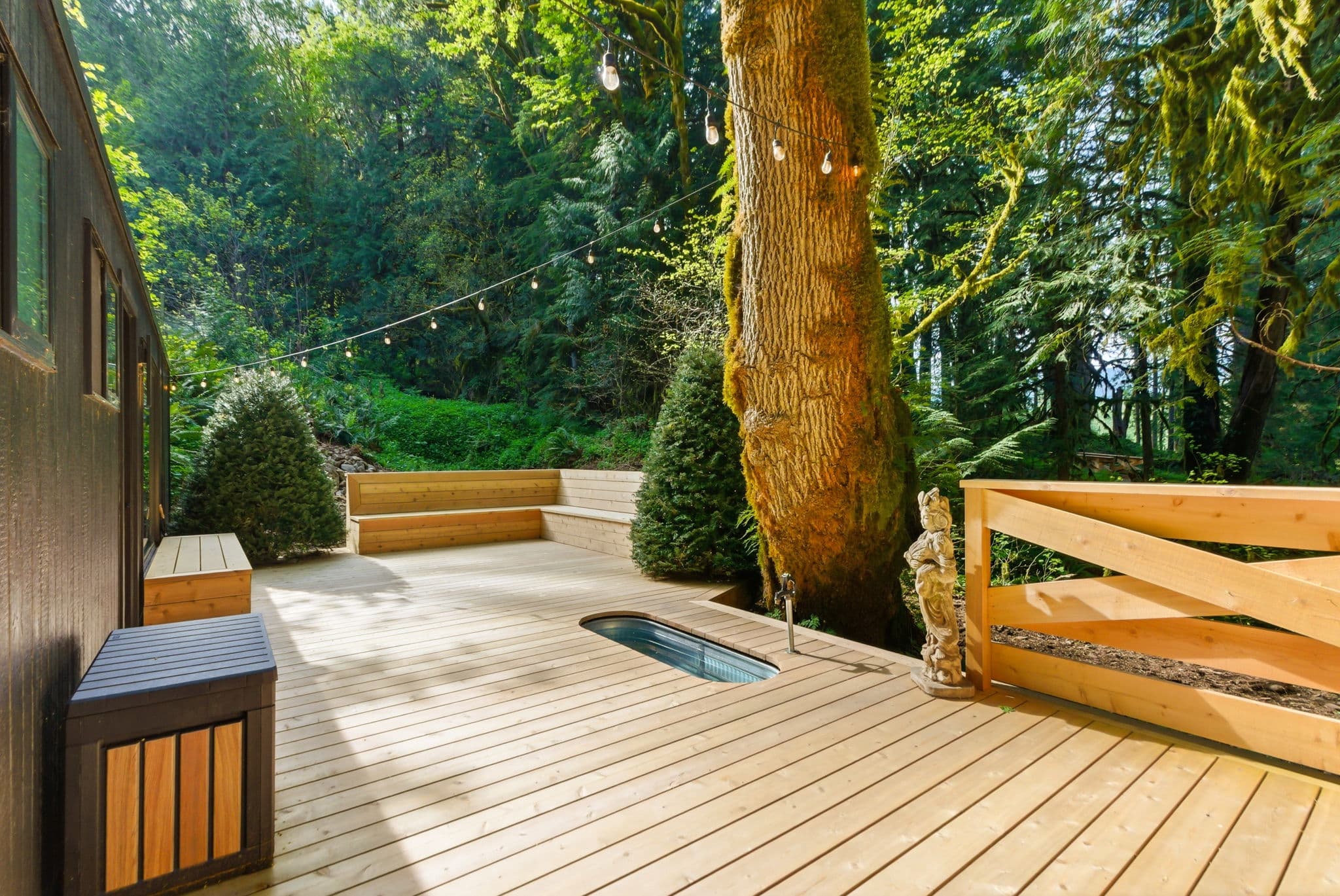 Cedar deck with cold plunge tub surrounded by ferns and old-growth forest
