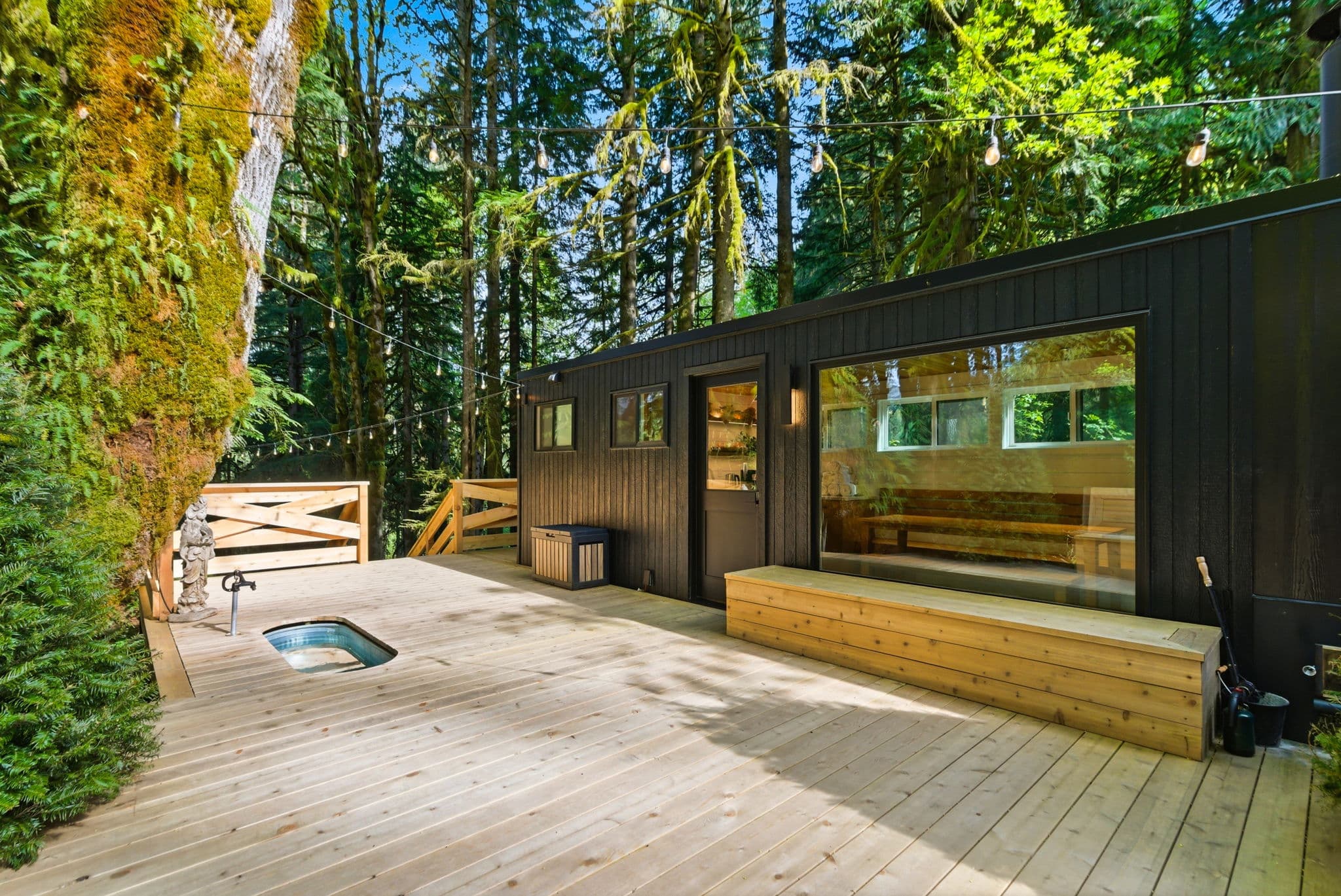 Wide view of the spa cabin, deck, and cold plunge nestled in old-growth forest