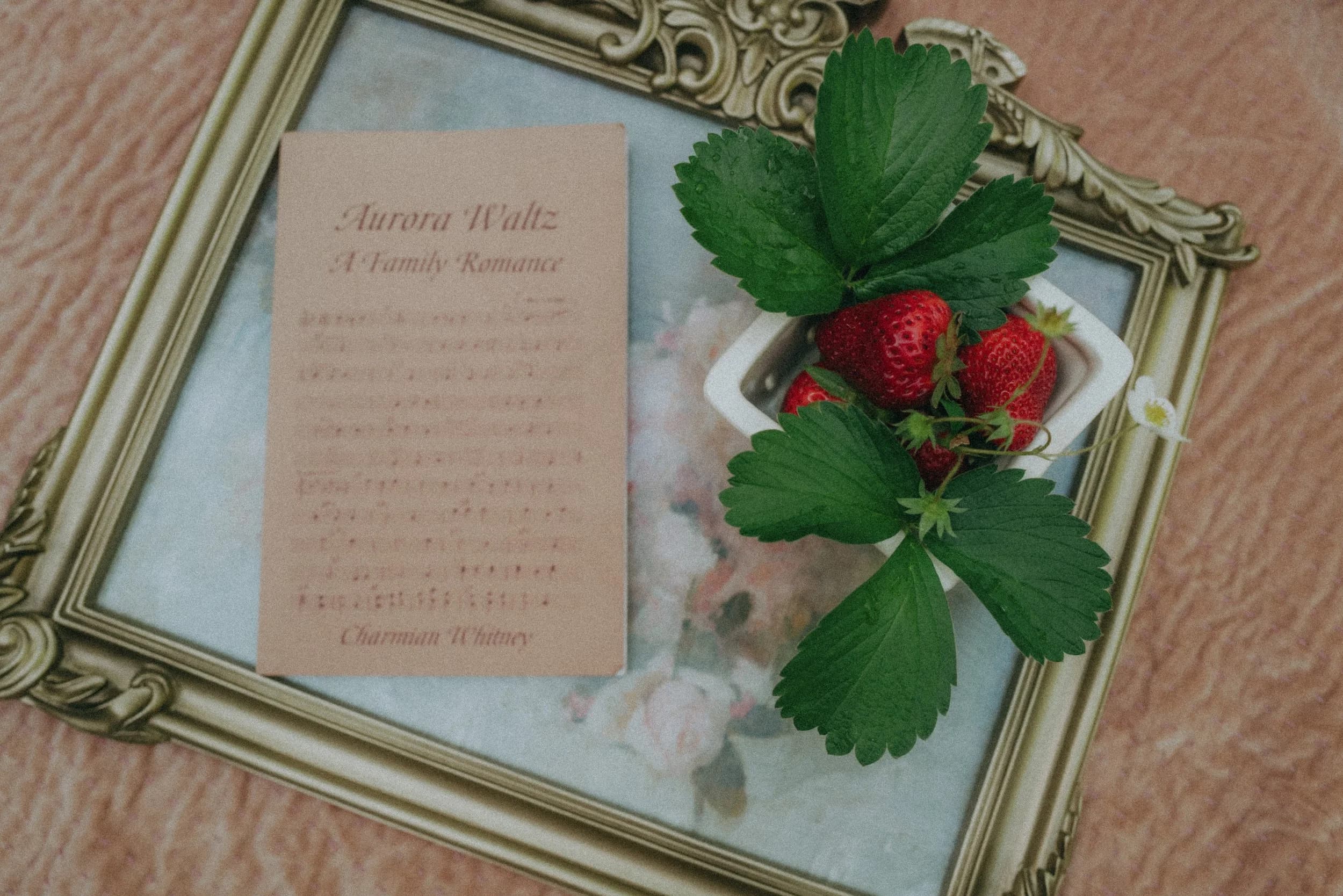 Hannah & Max — bride portrait