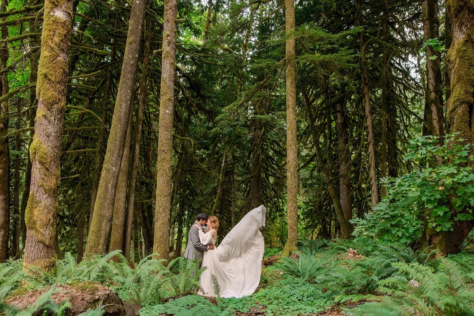 A bride and groom among tall mossy trees and ferns, her train lifting