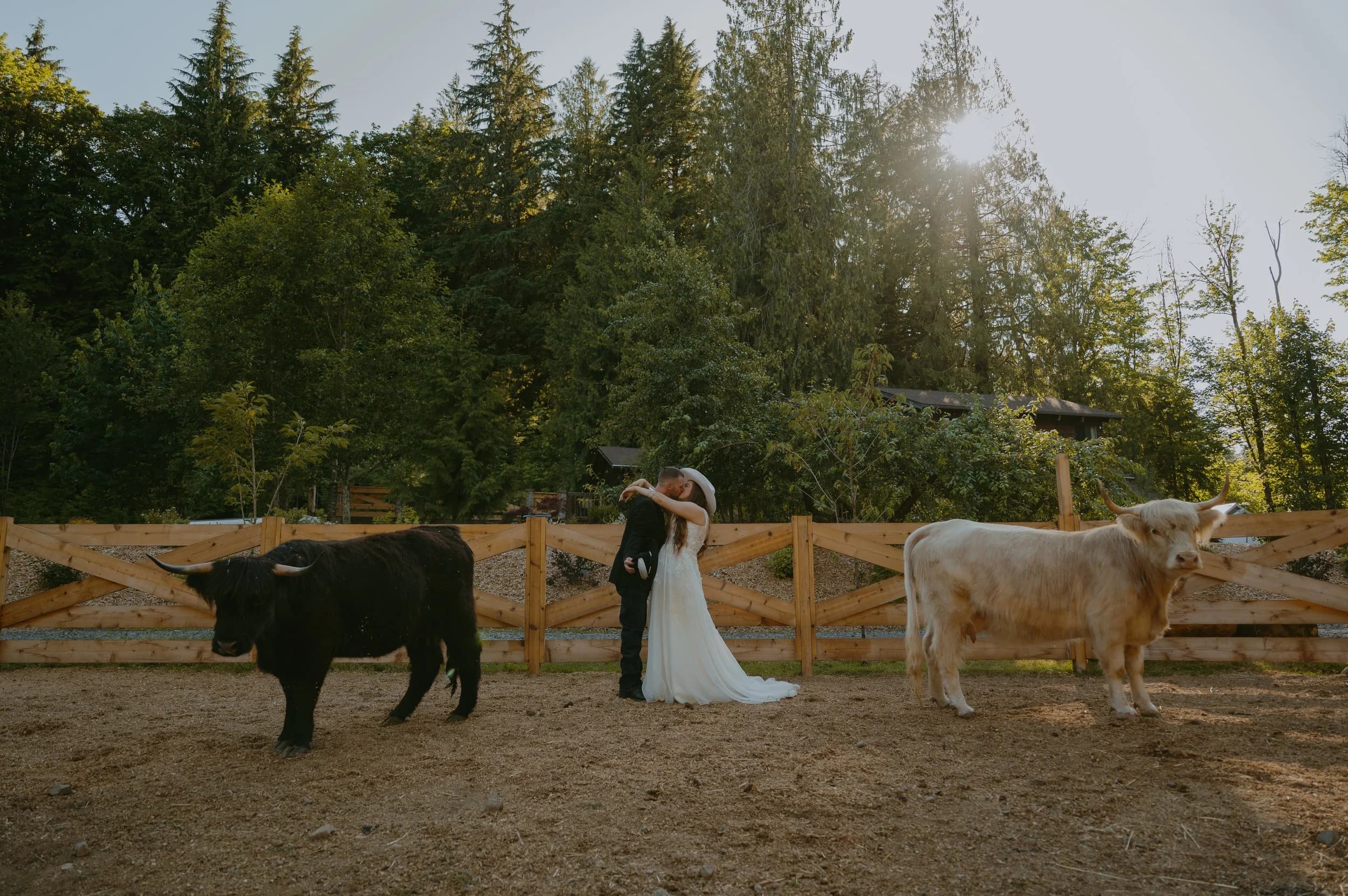 Riley and Jordan at the pasture fence with two Highland cows